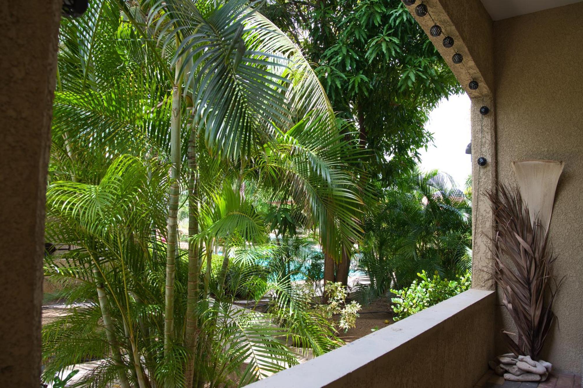 Caribbean Happyness Apartment Willemstad Exterior photo